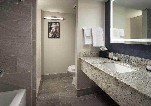 Embassy Suites by Hilton Tucson East, AZ image 3
