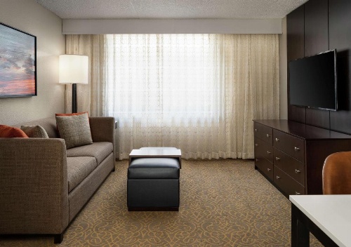 Embassy Suites by Hilton Tucson East, AZ image 40