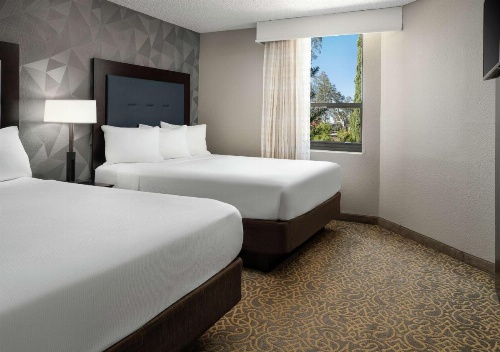 Embassy Suites by Hilton Tucson East, AZ image 41
