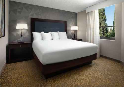 Embassy Suites by Hilton Tucson East, AZ image 5